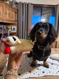 Lamb Chop