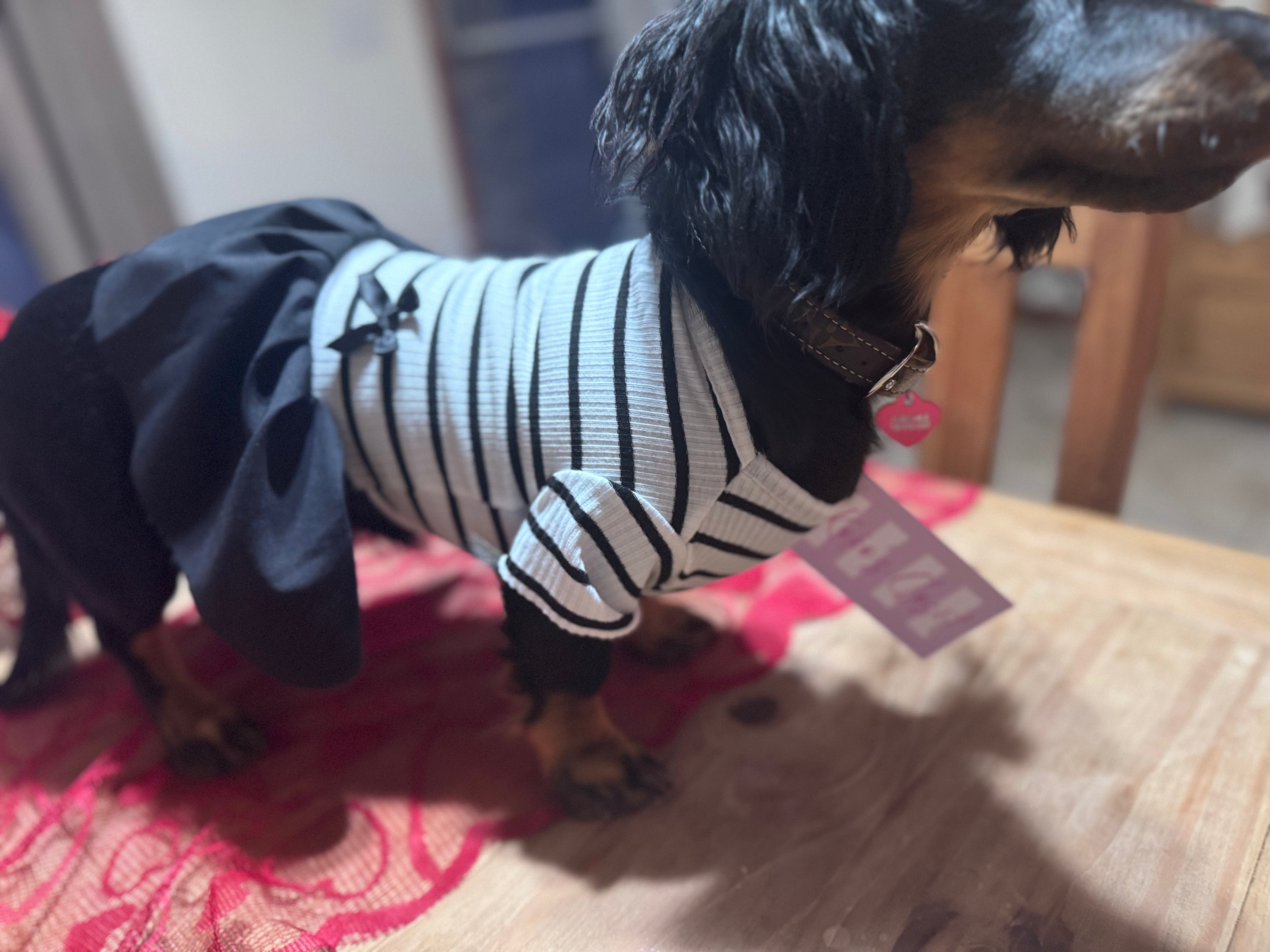 Black & White Bow Dress