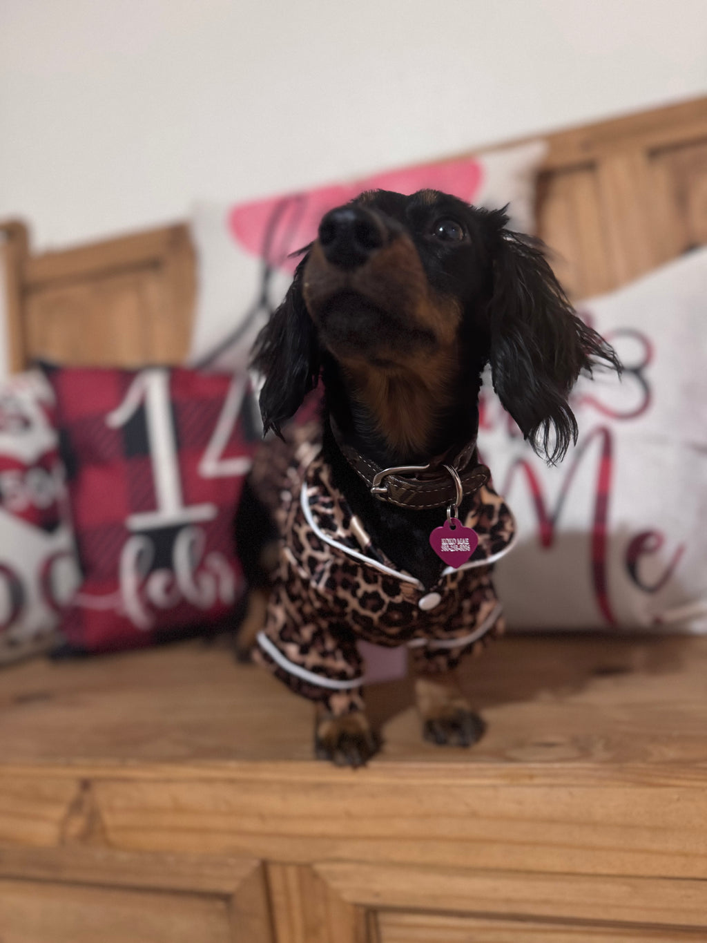 Leopard Print Pet Pajamas