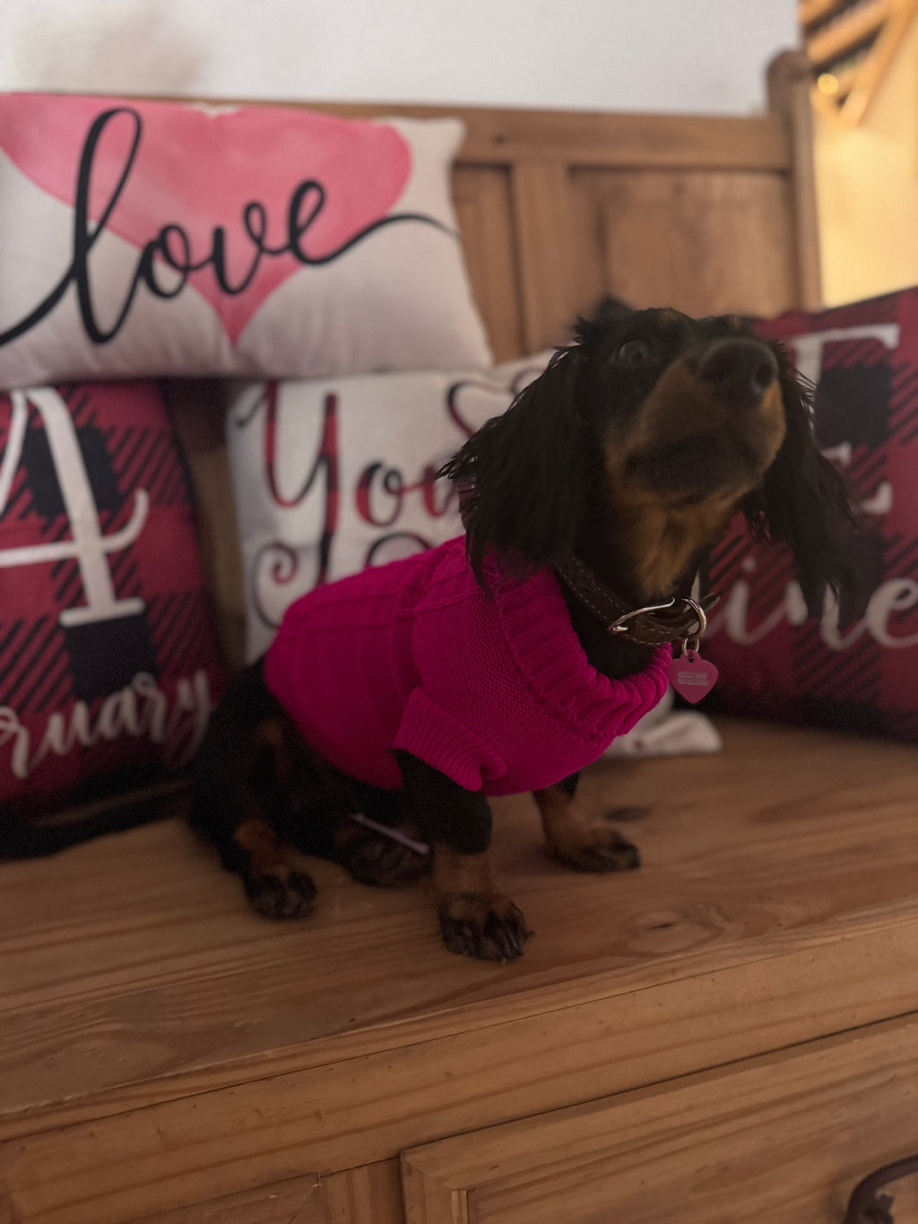 Pink Dog Sweater