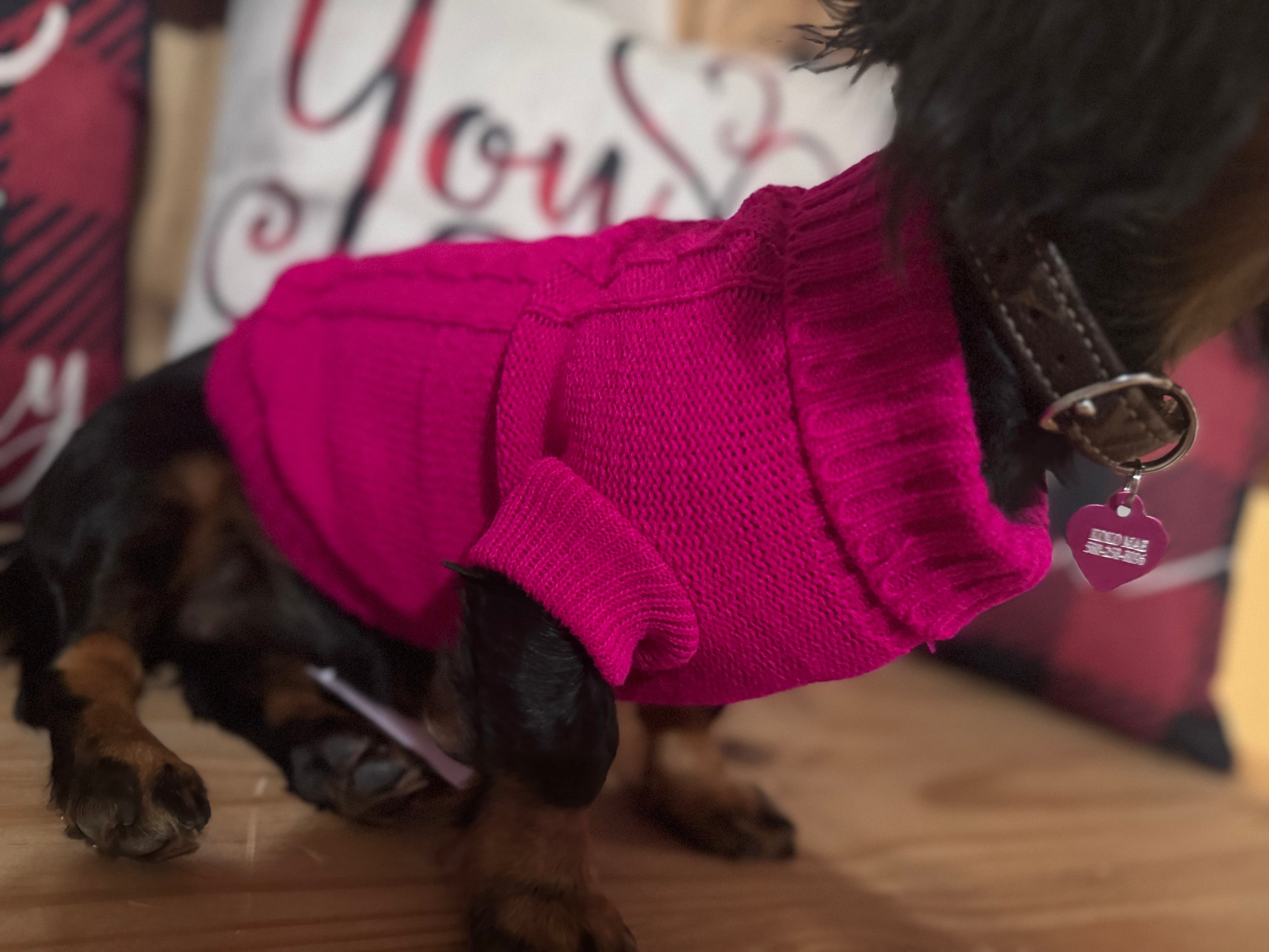 Pink Dog Sweater