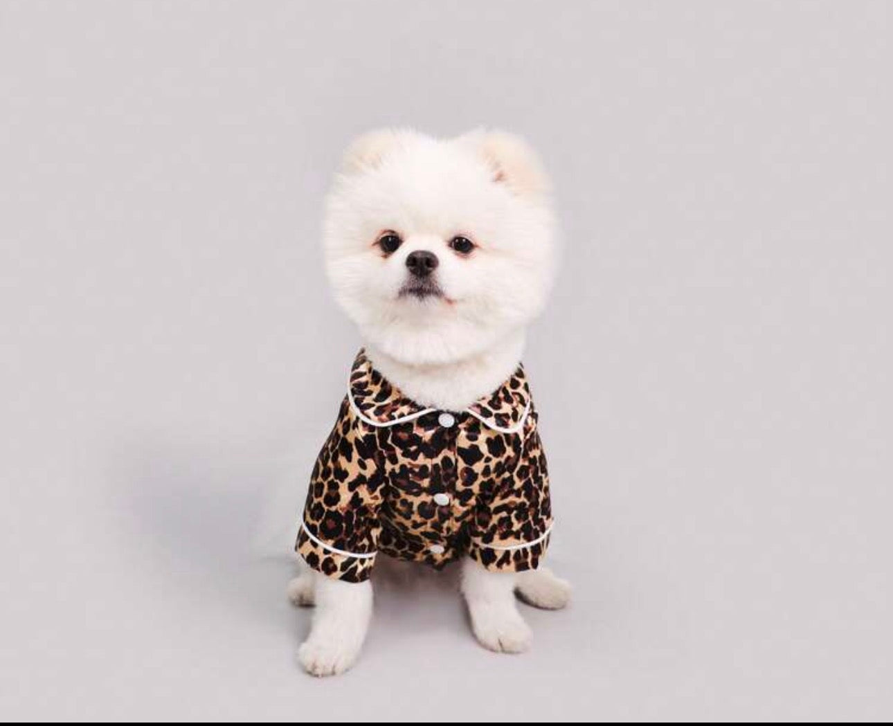 Leopard Print Pet Pajamas