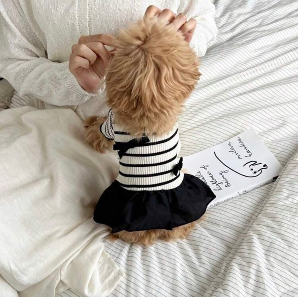 Black & White Bow Dress