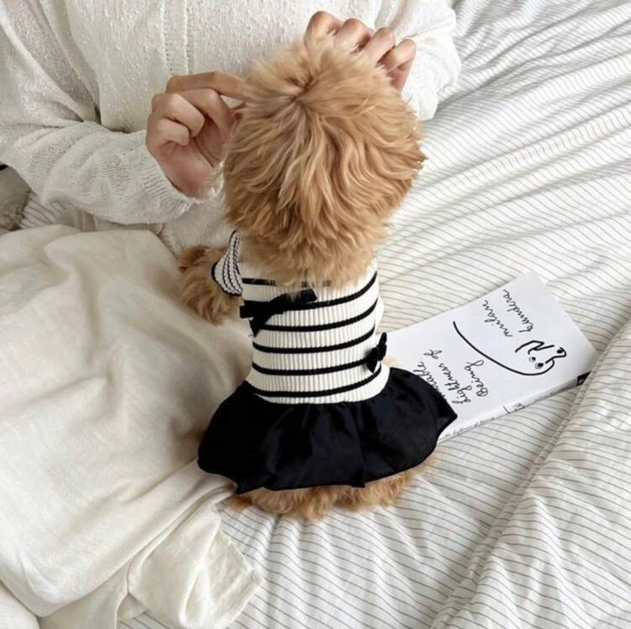 Black & White Bow Dress