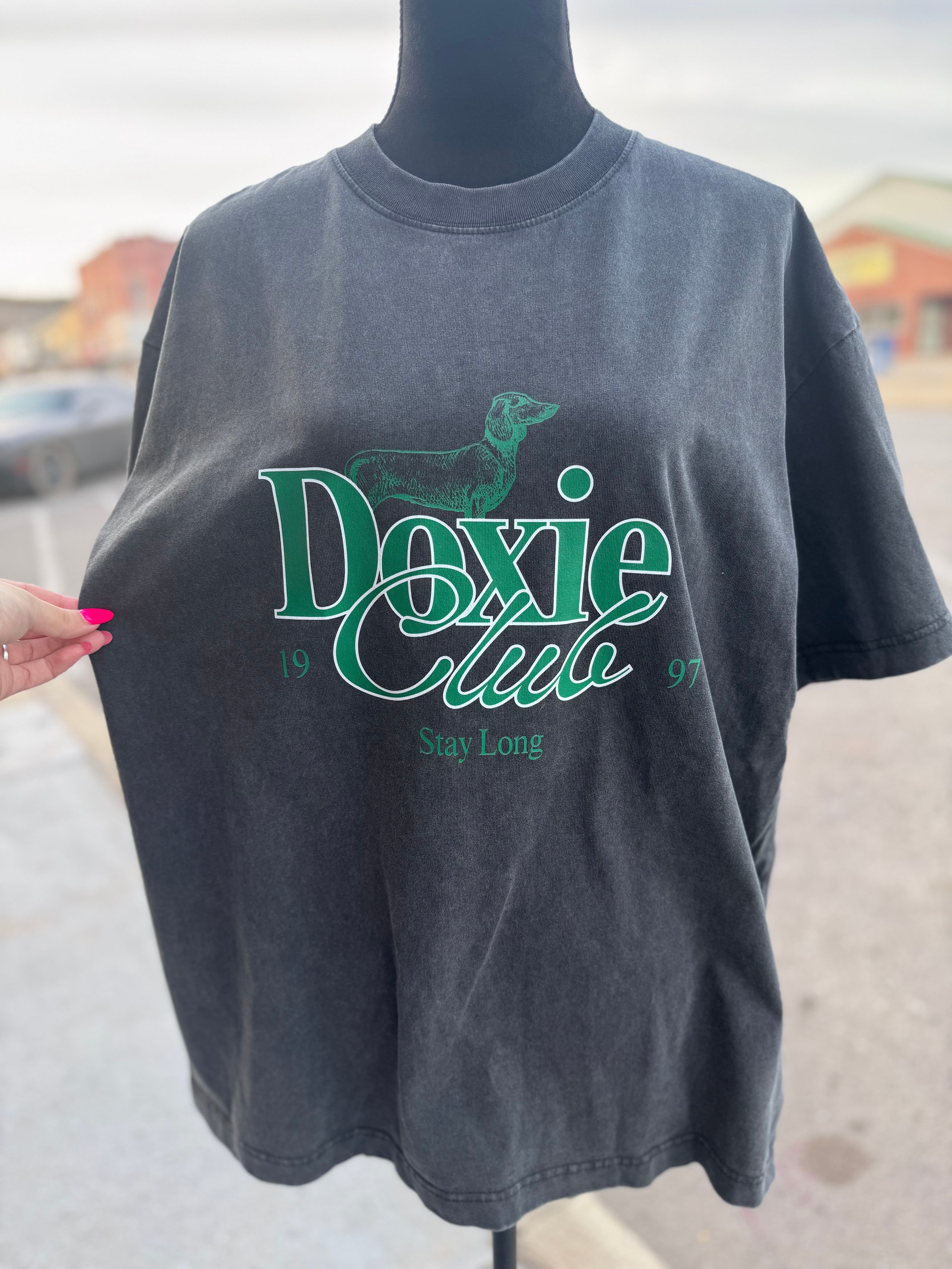 Doxie Mom Tee