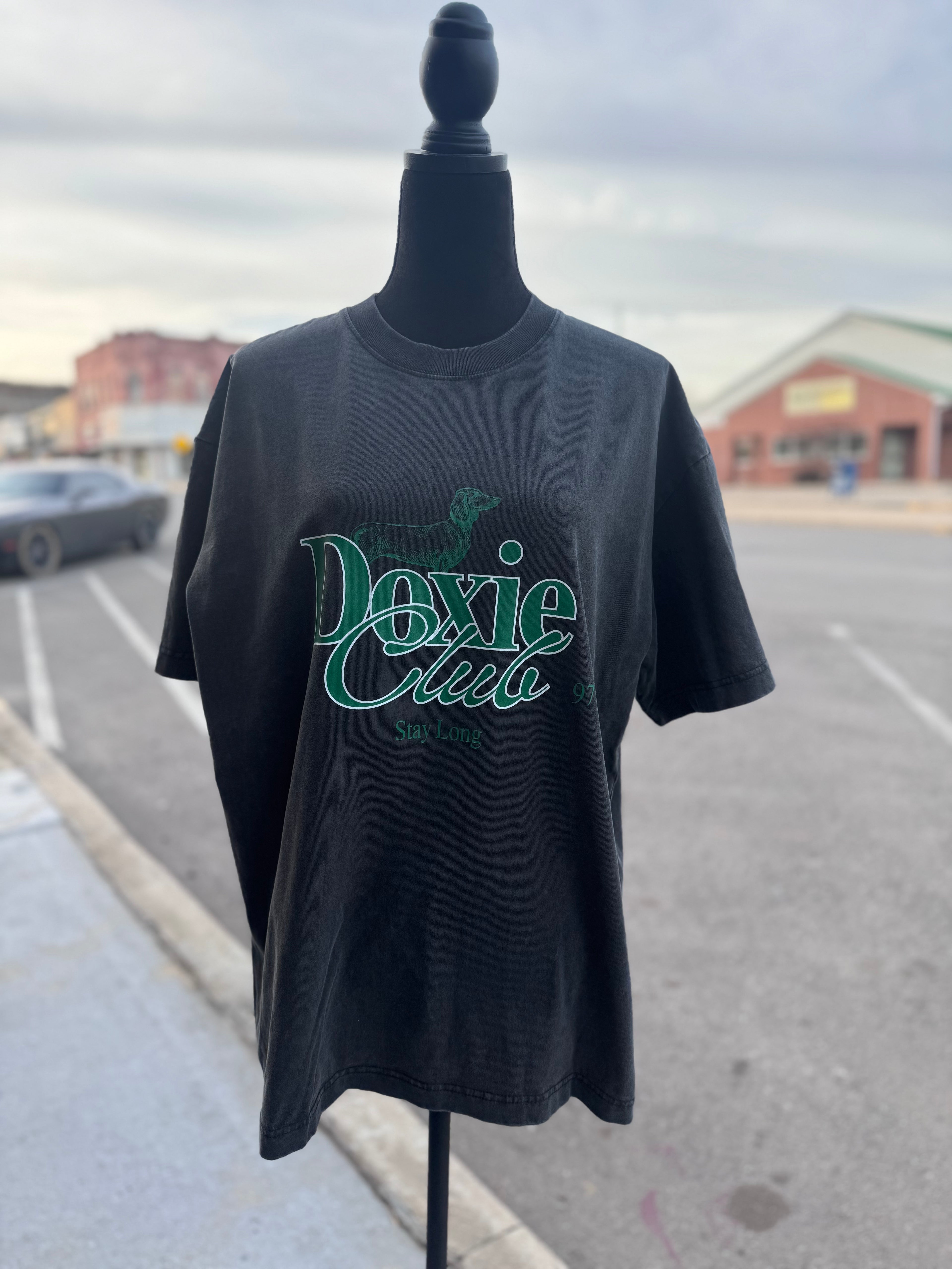 Doxie Mom Tee